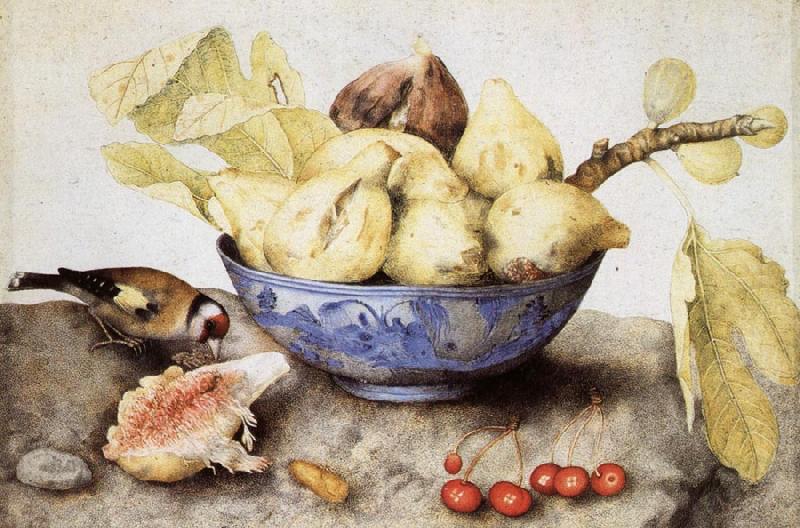 Giovanna Garzoni Chinese Cup with Figs,Cherries and Goldfinch oil painting picture